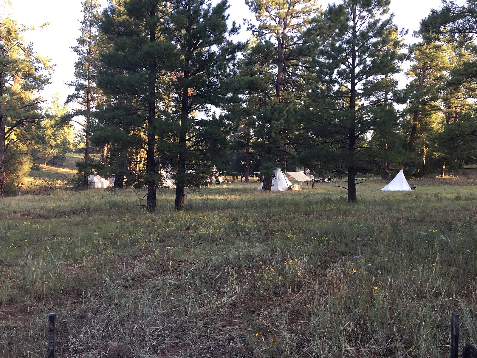 New Mexico Mountain Men McGaffey Rendezvous